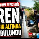 Otomobilin çarptığı bisikletli ağacın altında ölü bulundu