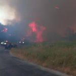 Ezine'deki orman yangınına müdahale sürüyor