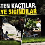 Güneşten kaçtılar, gölgeye sığındılar