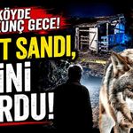 Ağıla kurt girdiğini zannederek ateş eden şahıs, eşini öldürdü