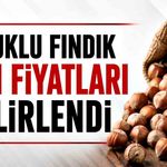 Kabuklu fındık alım fiyatları belirlendi