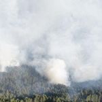 Kastamonu’da çıkan orman yangını kontrol altına alındı