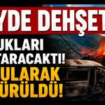 Yangındaki Çocukları Kurtaracaktı! Vurularak Öldürüldü