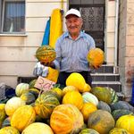 Meşhur Kışlademirli kavunu pazara indi