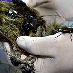 Zonguldak Orman Bölge Müdürlüğü Cihaz Alımı İhale İlanı