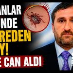 Karabük'te kene 7 yıl sonra can aldı