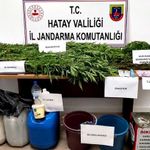 Otomobildeki 3 şırınga zehir tacirini ele verdi