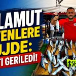 Palamut sevenlere müjde: Fiyatı geriledi!