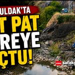 Zonguldak'ta pat pat dereye uçtu!