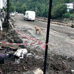 Sel suları çekildi, geriye çamuru kaldı