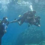 Su altının renkli dünyası, Marmaris'e dalış turizmiyle hayat veriyor