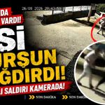 Kucağında çocuğu varken silahlı saldırıya uğrayan kadın öldü