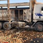 Kamyon devrildi, tonlarca soğan yola saçıldı: 2 yaralı