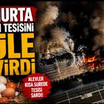 Alevler yumurta üretim tesisini küle çevirdi