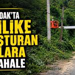 Zonguldak’ta tehlike oluşturan dallara müdahale