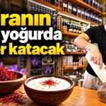 Safranın atığı yoğurda değer katacak: KBÜ’den dikkat çeken proje