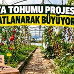 Ata Tohumu Projesi, 7’nci yılında da büyüyerek devam ediyor