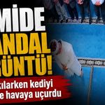 Camide namaz kılarken kediyi tekmeyle havaya uçurdu