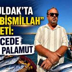 Zonguldak’ta “Vira Bismillah” bereketi: İlk gecede 50 ton palamut