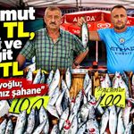 Balık tezgâhları hareketlendi: İşte Zonguldak’taki yeni fiyatlar