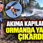 Akıma kapılan kuş ormanda yangına neden oldu