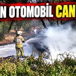 Otomobil zeytinliğe uçup yandı: 1 ölü, 1’i çocuk 5 yaralı