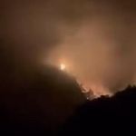 Karaisalı'da ormanlık alanda yangın