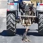 Köpeği traktöre bağlayıp sürükledi