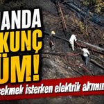 Ağaç çekerken elektrik akımına kapılan vatandaş öldü, ormanlık alanda yangın çıktı