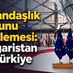 Vatandaşlık Kanunu İncelemesi: Bulgaristan ve Türkiye