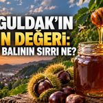 Zonguldak’ın altın değeri: Kestane balı