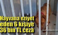 Hayvana eziyet eden 6 kişiye 35 bin 802 TL ceza