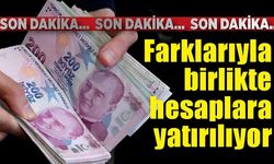 Farklarıyla birlikte hesaplara yatmaya başladı