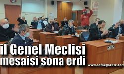 İl Genel Meclisi  Şubat  mesaisi sona erdi