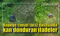 Köpeğe cinsel taciz davasında kan donduran ifadeler