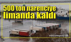 Ukrayna-Rusya krizi Zonguldak Limanı'ndaki ticareti de etkiledi