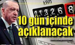 Yeni elektrik düzenlemesi 10 gün içinde açıklanacak