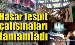 Yoğun kar yağışı sonrası hasar tespit çalışmaları tamamlandı