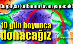 10 gün boyunca donacağız!