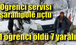 Öğrenci servisi uçuruma yuvarlandı! 1 öğrenci öldü, 7 yaralı