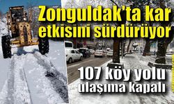 Zonguldak'ta kar etkisini sürdürüyor