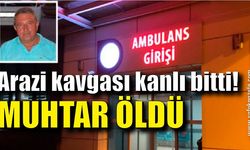 Arazi kavgasında muhtar öldü