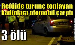 Turunç toplarken otomobilin çarptığı 3 kadın öldü