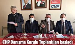 CHP Danışma Kurulu Toplantıları başladı