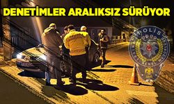 Denetimler aralıksız sürüyor