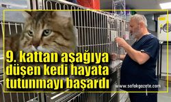 Dokuzuncu kattan aşağıya düşen kedi hayata tutunmayı başardı