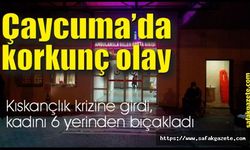 Kıskançlık krizine girdi, kadını 6 yerinden bıçakladı
