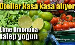 Oteller kasa kasa alıyor, lime limonuna talep yoğun