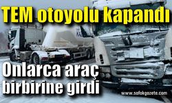 TEM otoyolu kapandı! Araçlar birbirine girdi