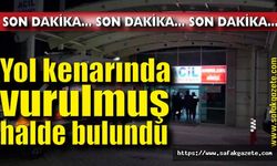 Yol kenarında av tüfeğiyle vurulmuş halde bulundu